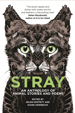 Stray: an anthology of animal stories and poems